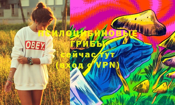 крисы Шарыпово