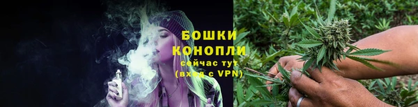 мдпв Шадринск