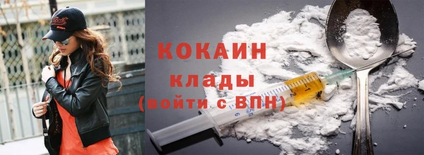 мдпв Шадринск