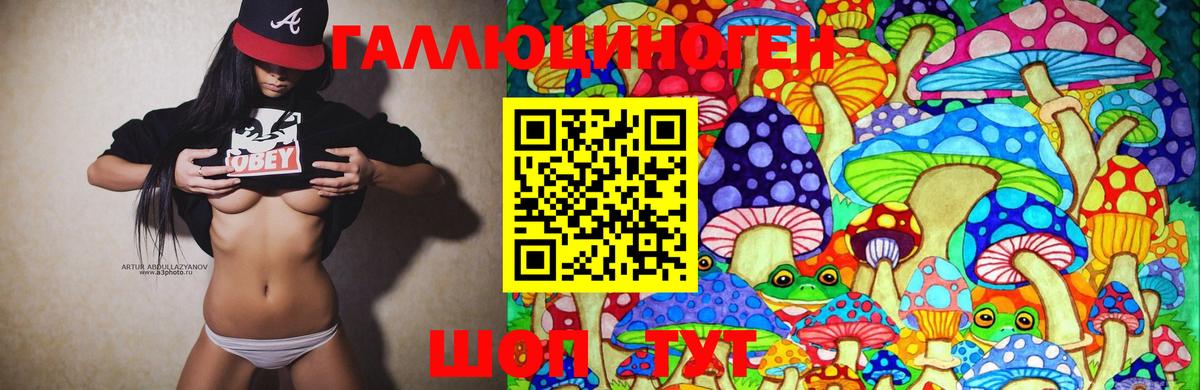 где найти наркотики  Псилоцибиновые грибы Psilocybine cubensis  Северодвинск  Вход с VPN  Галлюциногенные грибы прущие грибы 
