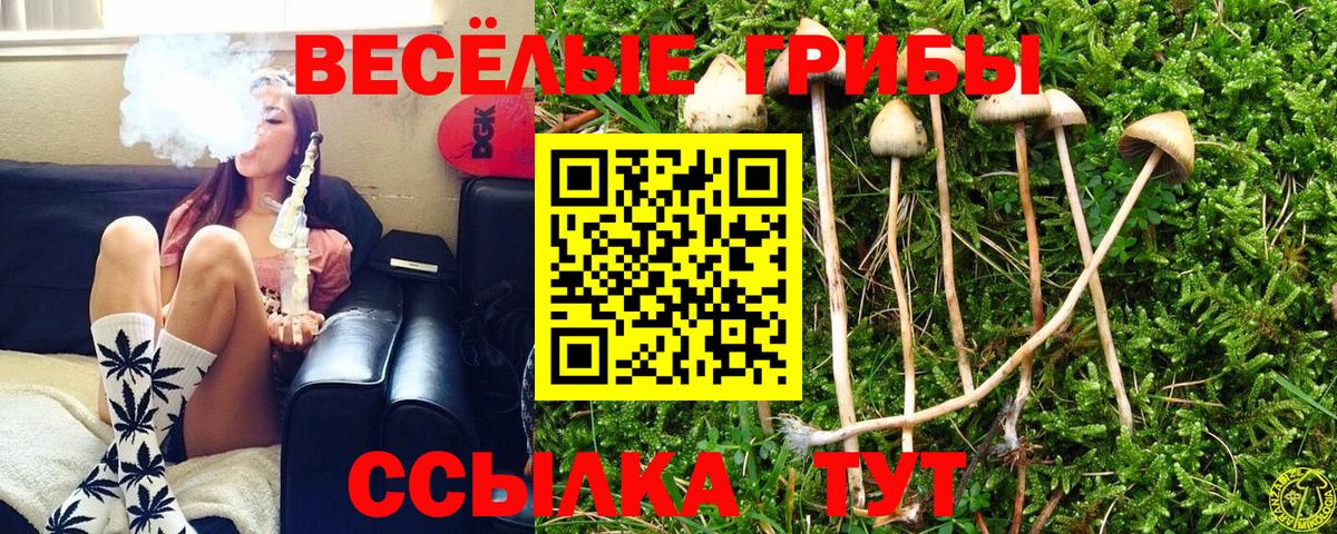 Псилоцибиновые грибы MAGIC MUSHROOMS Северодвинск